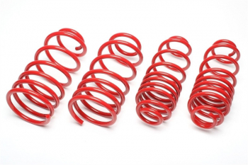 Molas TA Technix rebaixamento Audi, Seat, VW 40/40mm